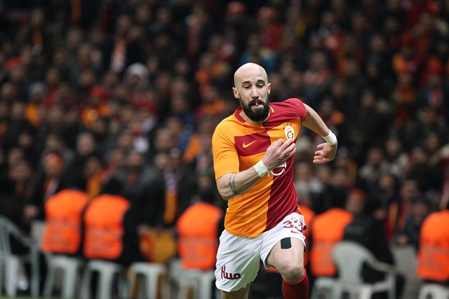 夺上也展现 夺上也展现